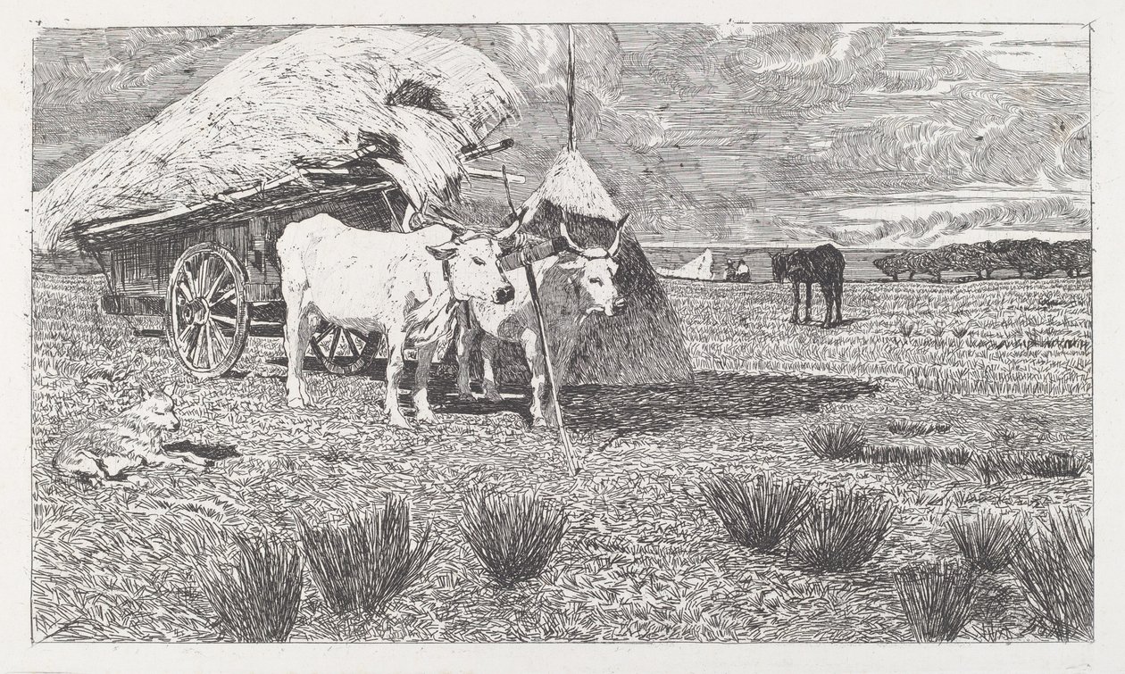 Ochsen, die an den Wagen gespannt sind (Maremma) von Giovanni Fattori