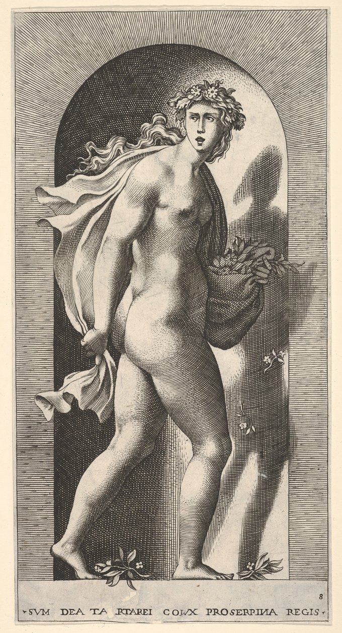 Tafel 8: Prosperpina, die in einer Nische steht und sich nach rechts dreht, während sie den Mantel hält von Giovanni Jacopo Caraglio