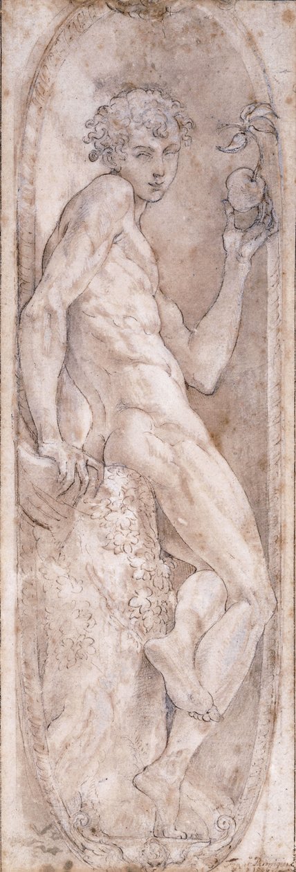Adam hält einen Apfel, sitzend, in einem Medaillon, ca. 1547-1553 von Girolamo Mazzola Bedoli