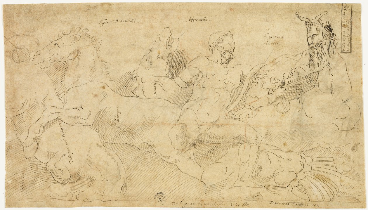 Antikes Relief mit Herkules und den Stuten des Diomedes (recto); Zwei Skizzen: Drapierter Satyr und geflügelte weibliche Figur (verso) von Girolamo da Carpi