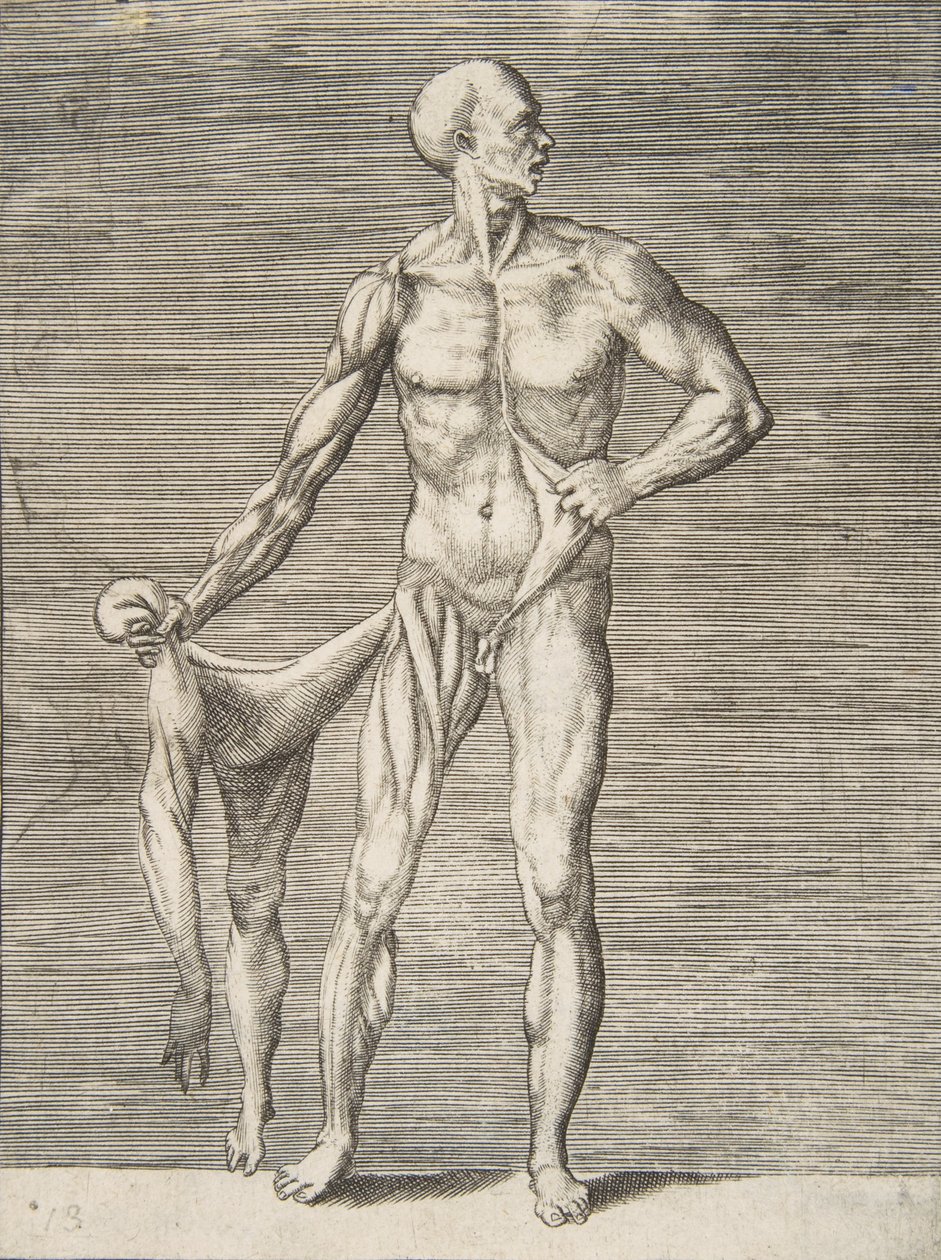 Mann von vorne gesehen, hält die Haut seines rechten Arms und Beins in seiner rechten Hand, 16. Jahrhundert von Giulio Bonasone