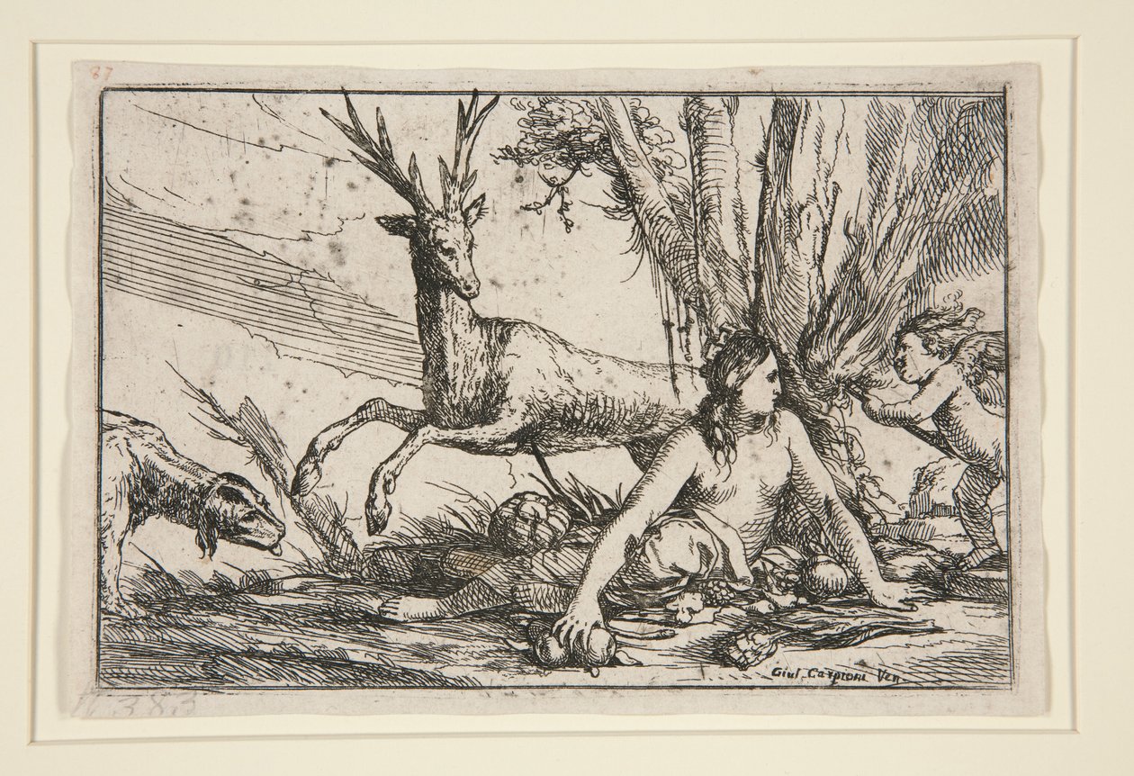 Die Erde, aus Die vier Elemente von Giulio Carpioni