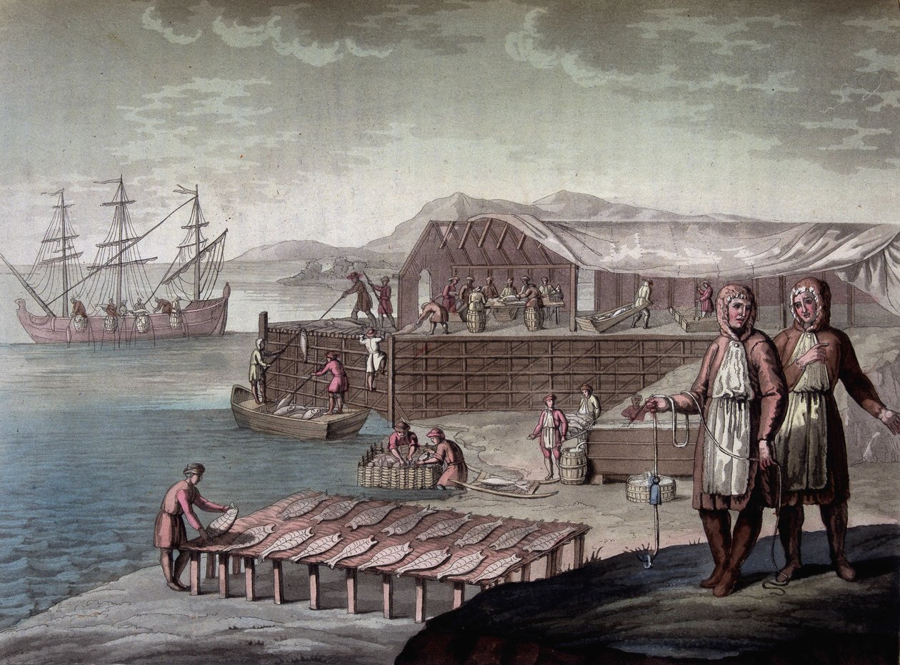 Dorschfang durch die Einwohner von Neufundland - in Le costume ancien et moderne von Ferrario, ed. Mailand von Giulio Ferrario