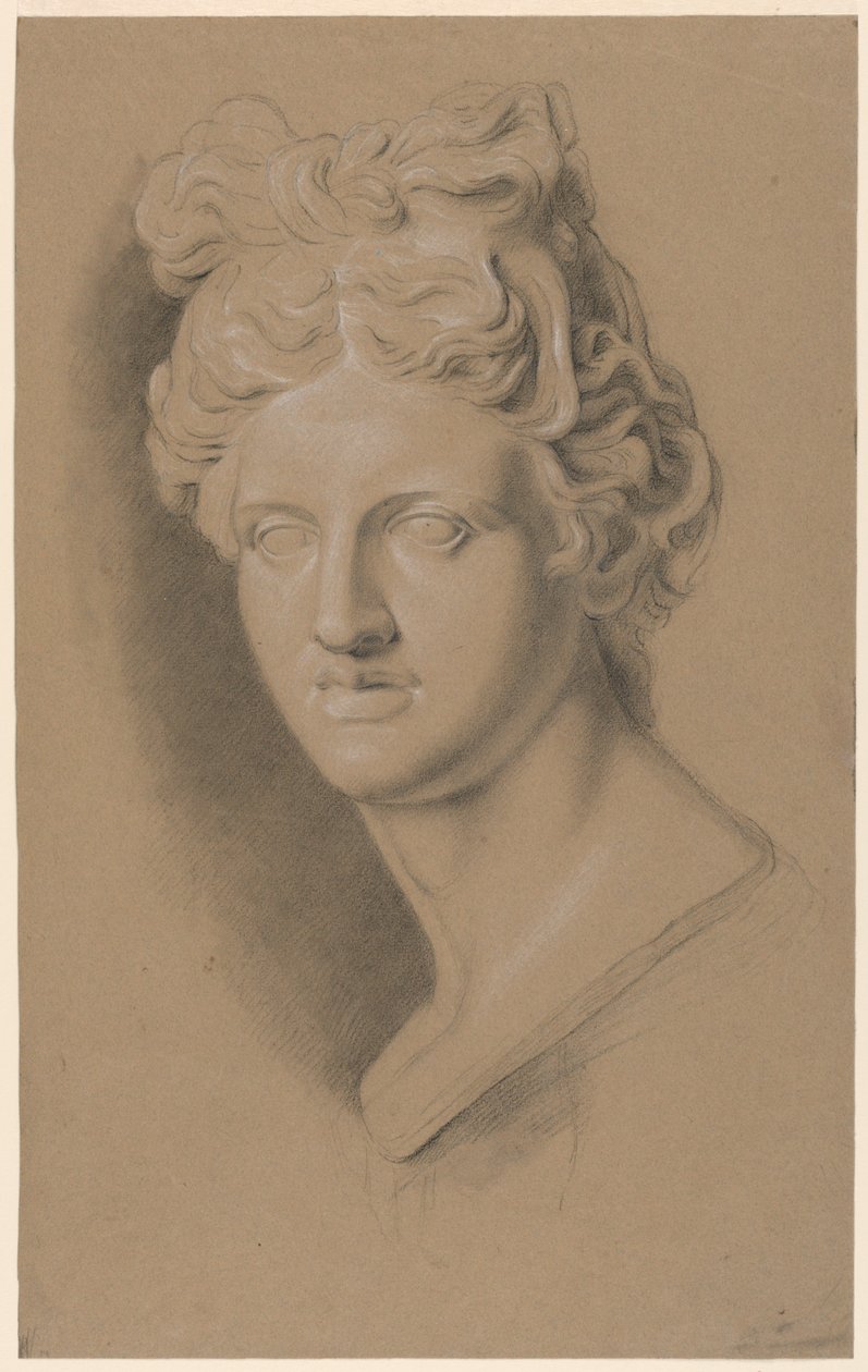 Akademische Studie eines Gusses einer klassischen weiblichen Büste von Giuseppe Longhi