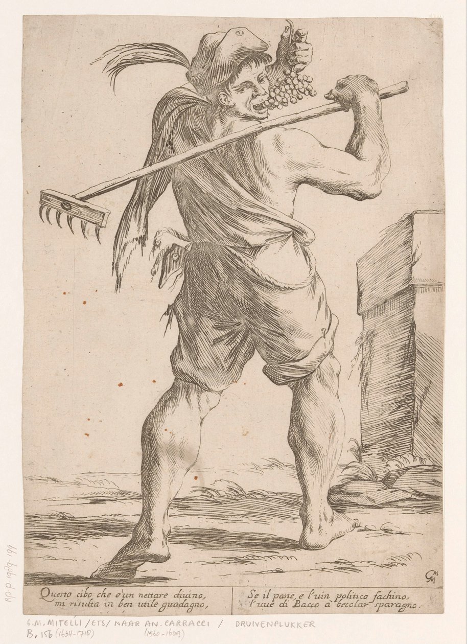 Traubenpflücker von Giuseppe Maria Mitelli