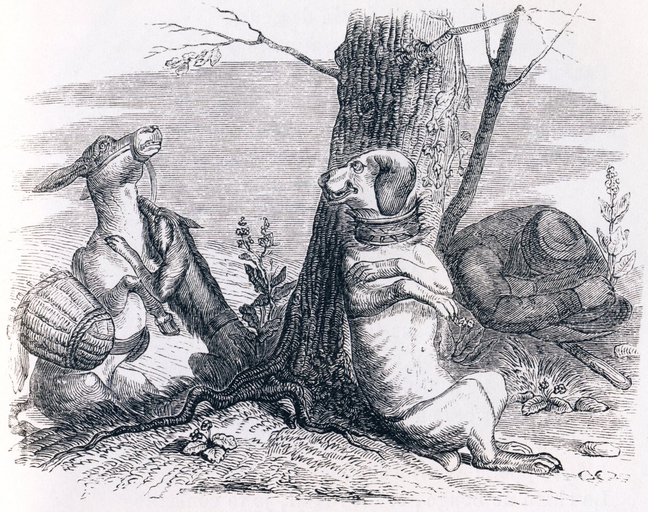 Der Esel und der Hund von Grandville