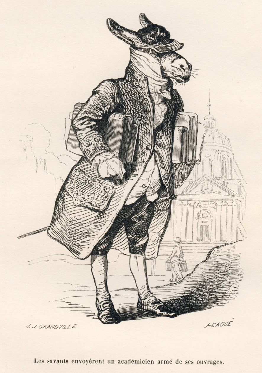 Akademischer Esel beladen mit Büchern. Vignetten illustriert von JJ Granville. Gravur signiert Caque in dem Teil "Eselführer für Tiere, die zu Ehren gelangen wollen" geschrieben von Honore De Balzac in "Szenen aus dem privaten und öffentlichen Leben der Ti von Grandville