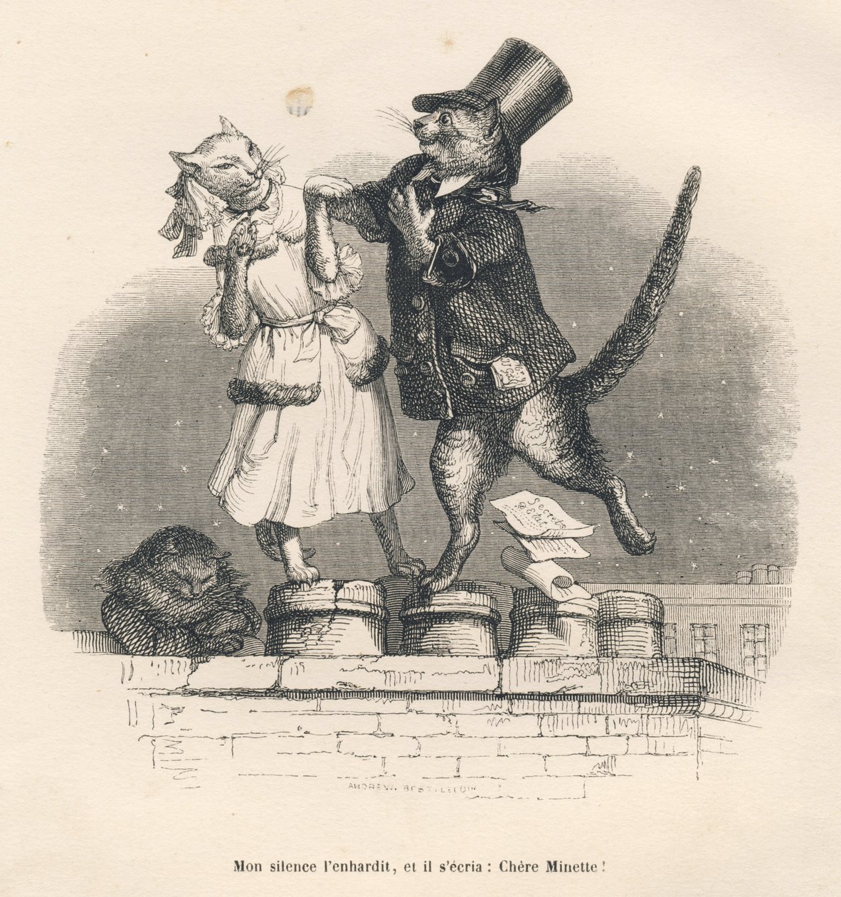 Zwei Katzen, die sich auf einem Dach verführen. Gravur signiert Andrew, Best und Leloir in "Peines de cour d