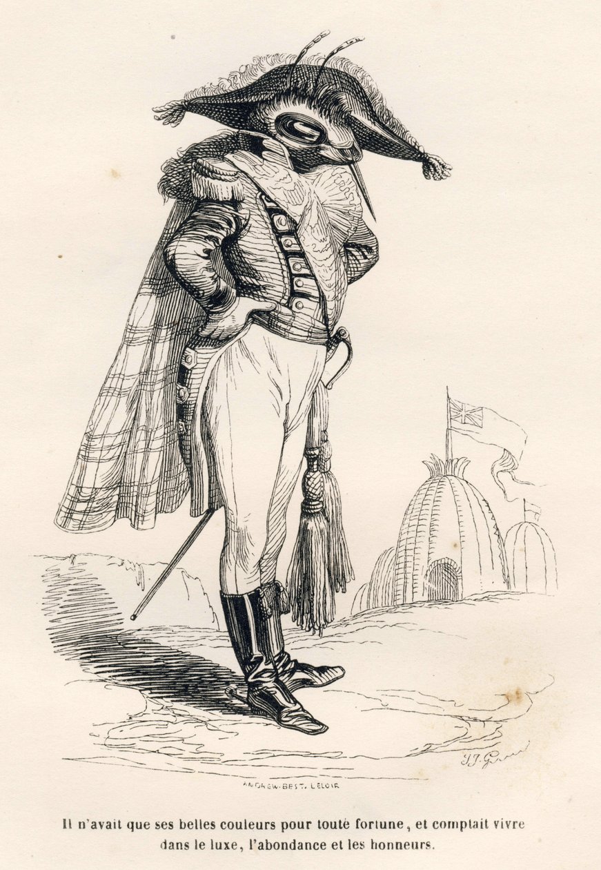 Er hatte nur seine schönen Farben als Reichtum und plante, im Luxus, Überfluss und Ehren zu leben. Vignetten illustriert von JJ Granville. Gravur signiert Andrew, Best und Leloir in dem Teil "Reise eines Spatzen aus Paris" geschrieben von Charles Nodier von Grandville