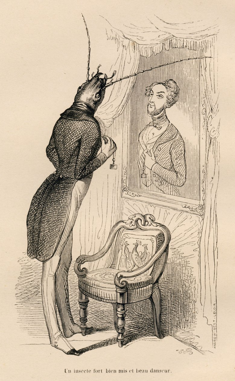 Insekt betrachtet sein menschliches Spiegelbild im Spiegel. Illustrierte Vignetten von JJ Granville. Gravur signiert Andrew, Best und Leloir im Teil "Die Abenteuer eines Schmetterlings" geschrieben von PJ Stahl in "Szenen aus dem privaten und öffentlichen  von Grandville