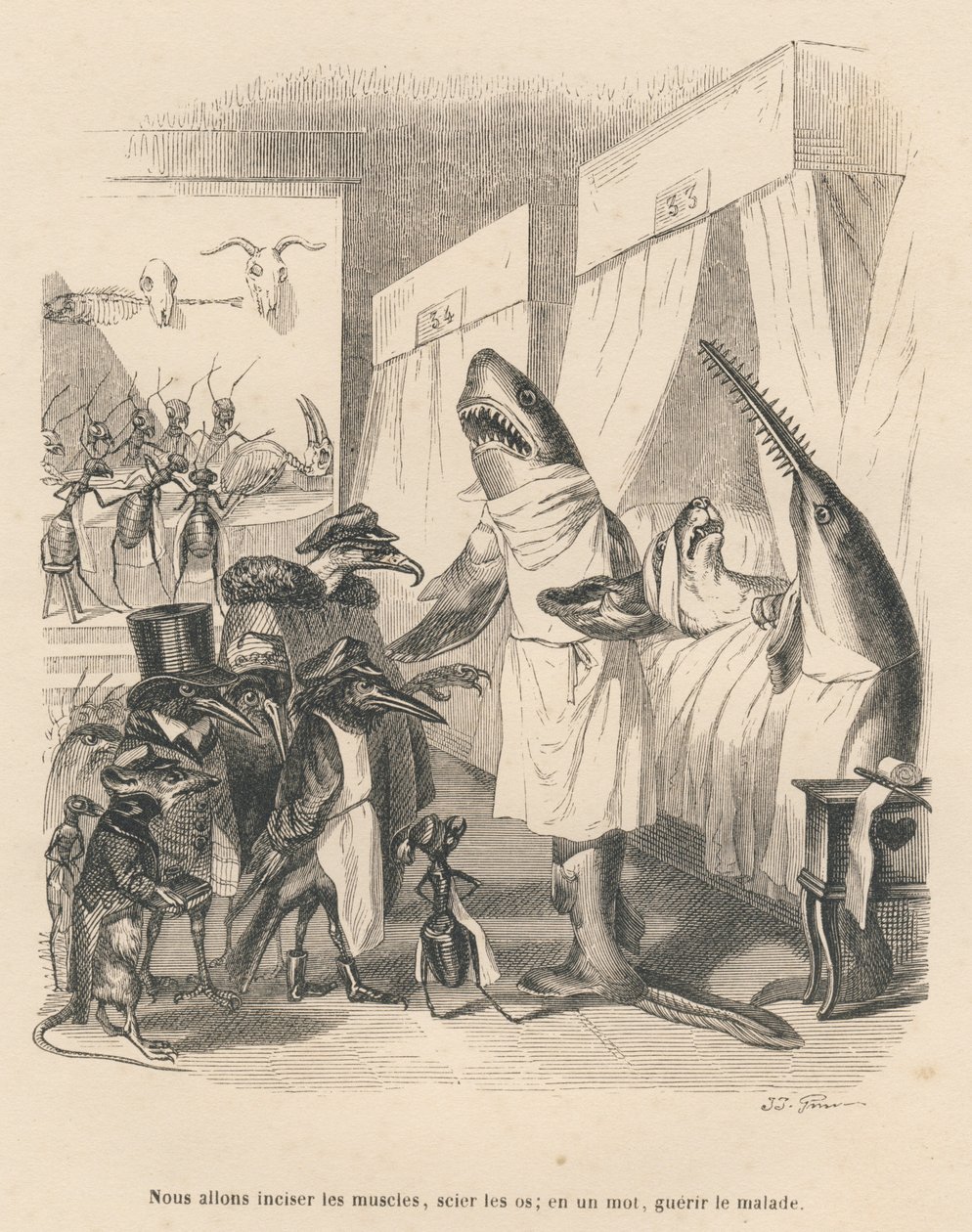 Die Hai-Ärzte erklären ihren chirurgischen Eingriff. Vignetten illustriert von JJ Granville. Gravur signiert Godard in dem Teil "Die Tierärzte" geschrieben von Pierre Bernard in "Szenen aus dem privaten und öffentlichen Leben der Tiere". Paris von Grandville