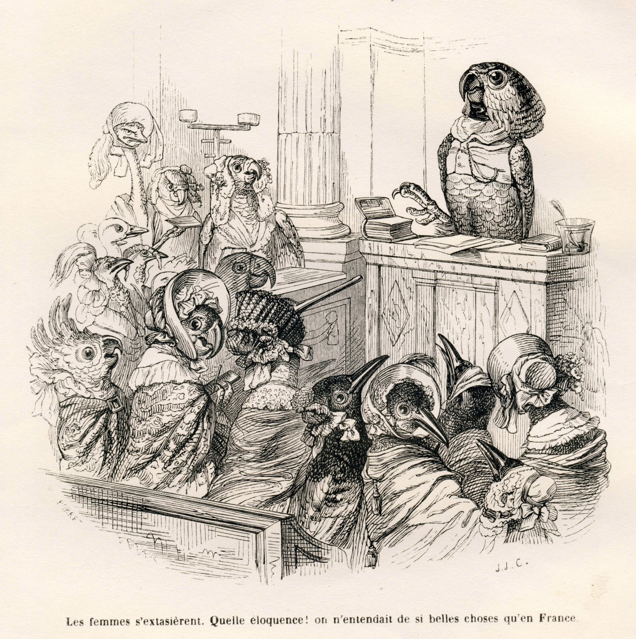 Beredsamer Papagei. Vignetten illustriert von JJ Granville. Gravur signiert Porret im Teil "Esel-Führer für Tiere, die zu Ehren gelangen wollen" geschrieben von Honore De Balzac in "Szenen aus dem privaten und öffentlichen Leben der Tiere" von Grandville