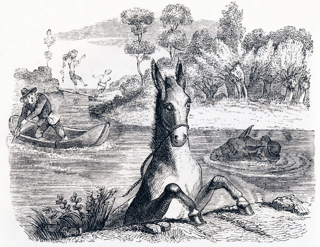 Der Esel mit dem Schwamm und der Esel mit dem Salz - Fabeln von La Fontaine von Grandville