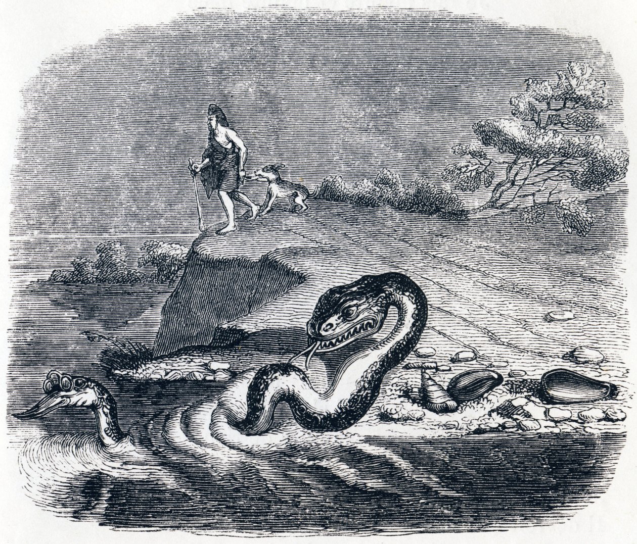 Der Kopf und der Schwanz der Schlange - Fabeln von La Fontaine von Grandville