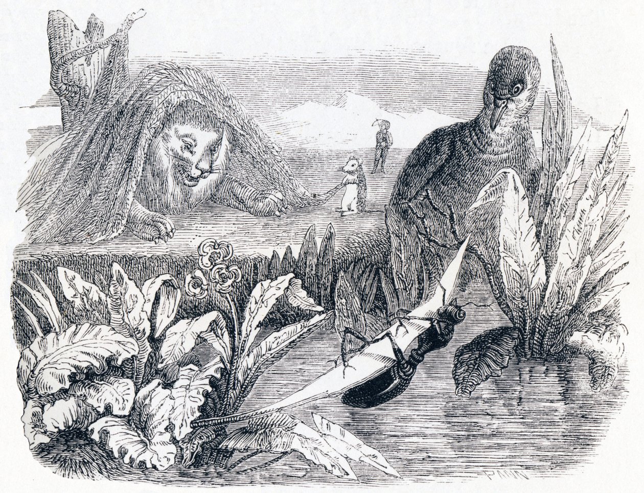 Die Taube und die Ameise - Fabeln von La Fontaine von Grandville