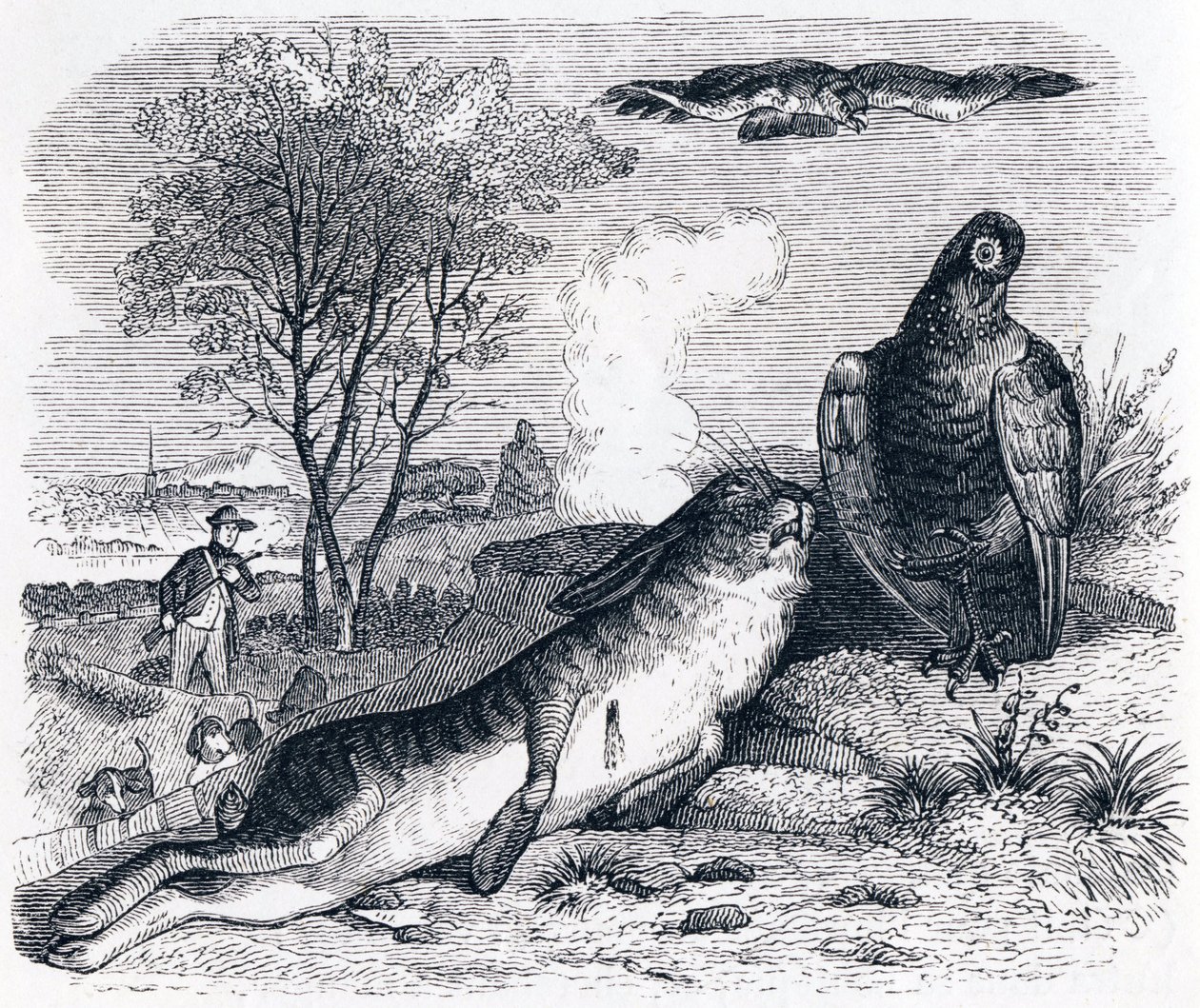 Der Hase und das Rebhuhn - Fabeln von La Fontaine von Grandville