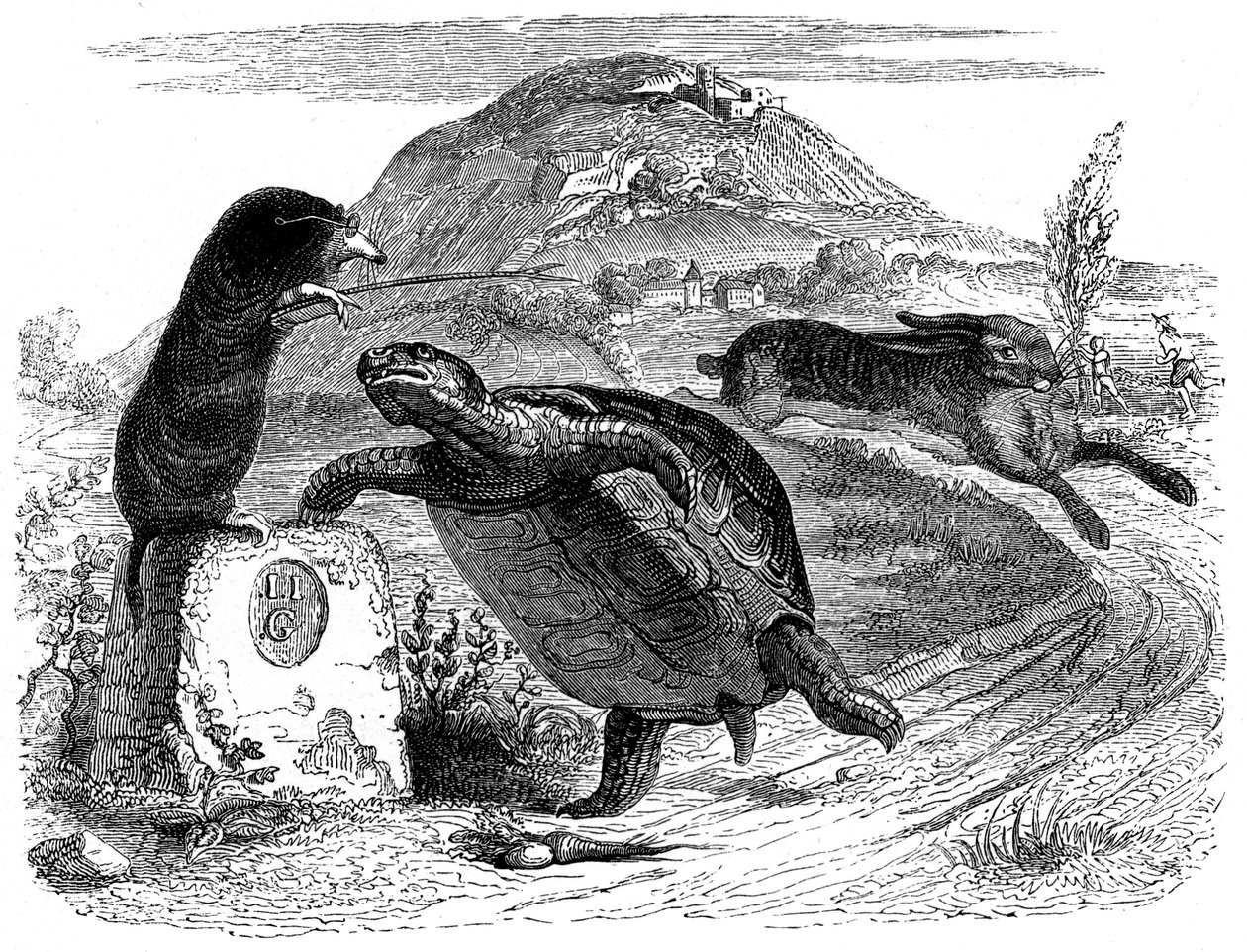 Der Hase und die Schildkröte: Fabel von La Fontaine, illustriert von Grandville von Grandville (1803 47)