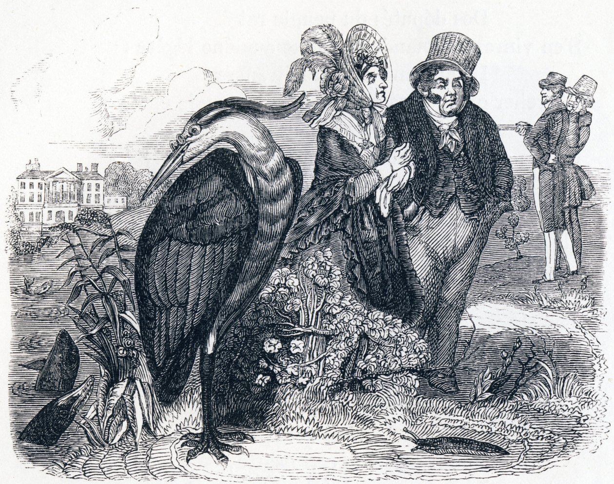Der Reiher - Fabeln von La Fontaine von Grandville