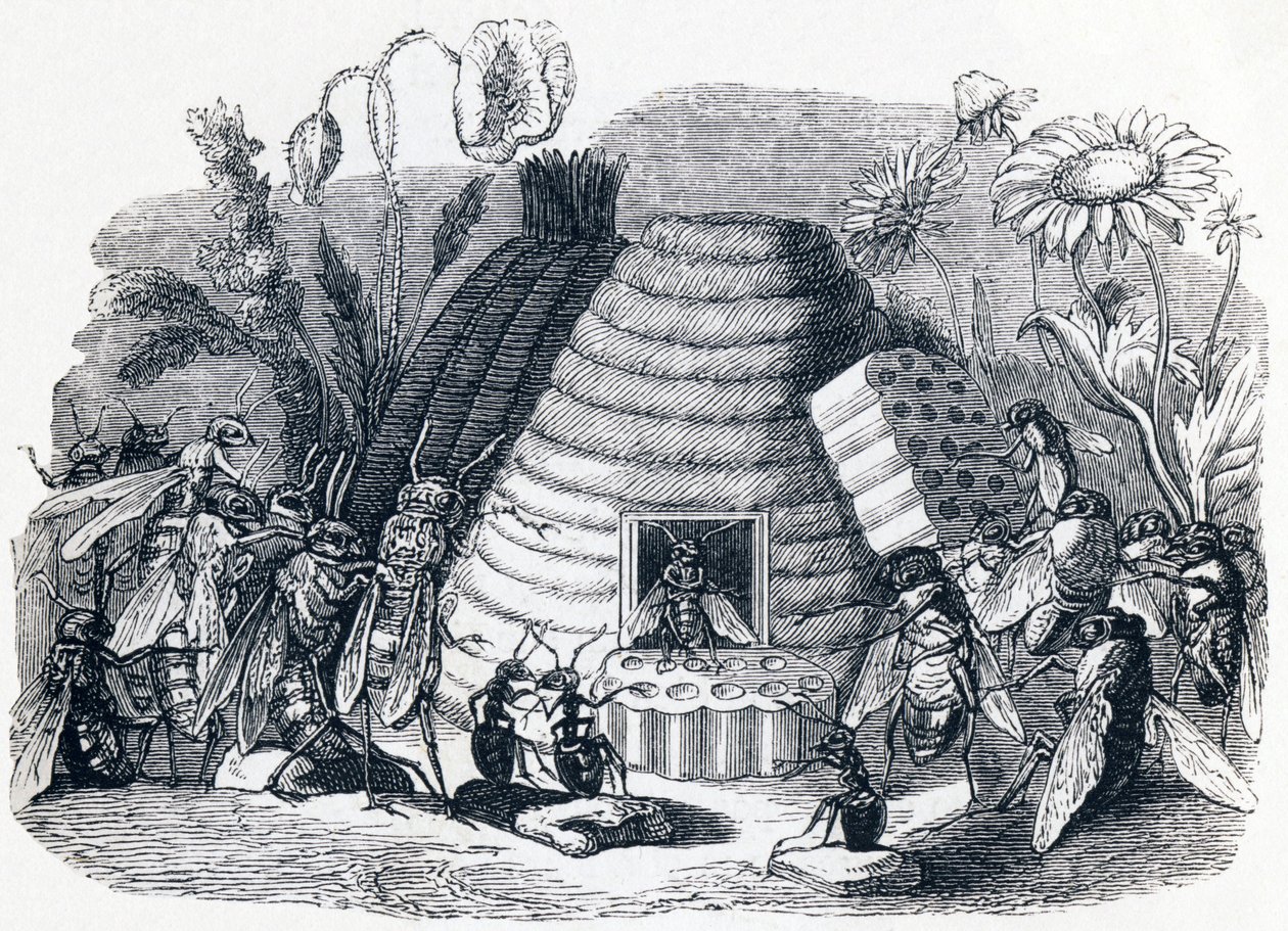 Die Hornissen und die Honigfliegen - Fabeln von La Fontaine von Grandville