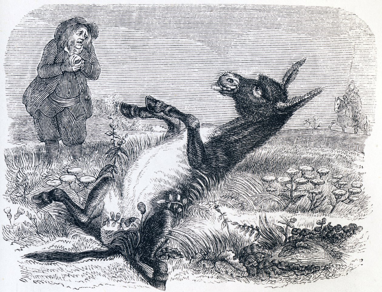Der alte Mann und der Fuchs von Grandville