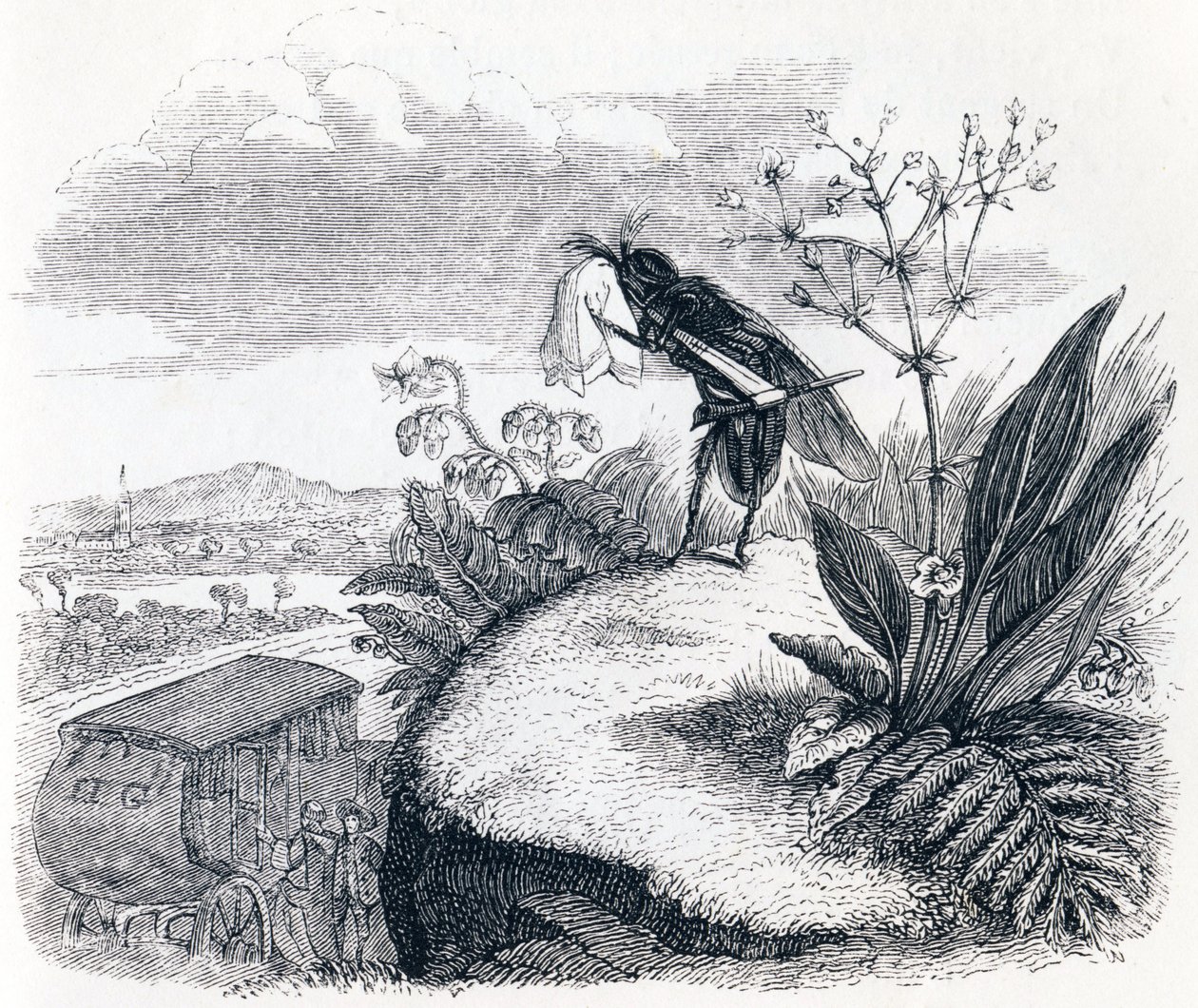 Die Zecke und die Fliege - Fabeln von La Fontaine von Grandville