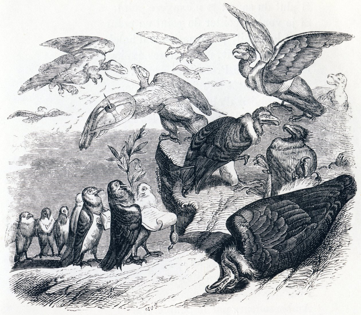 Die Geier und die Tauben von Grandville
