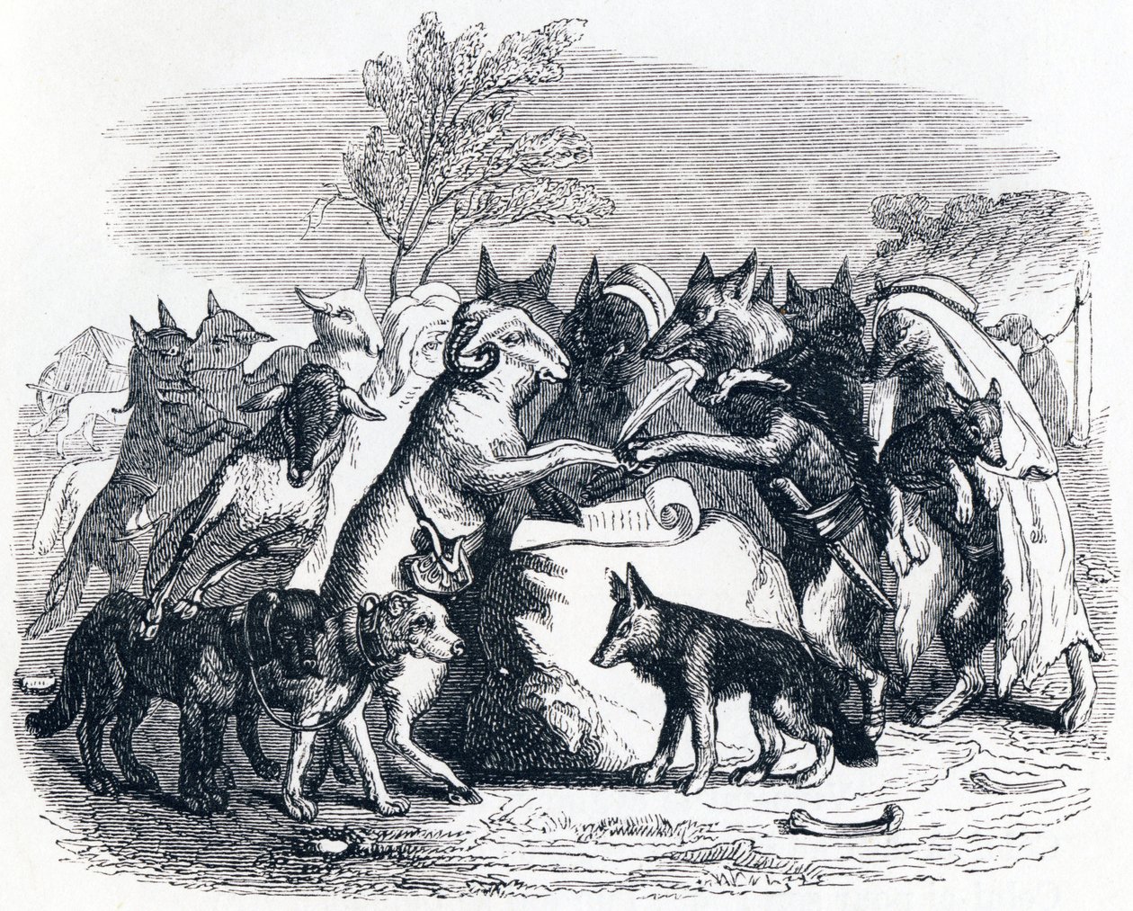 Die Wölfe und die Schafe von Grandville