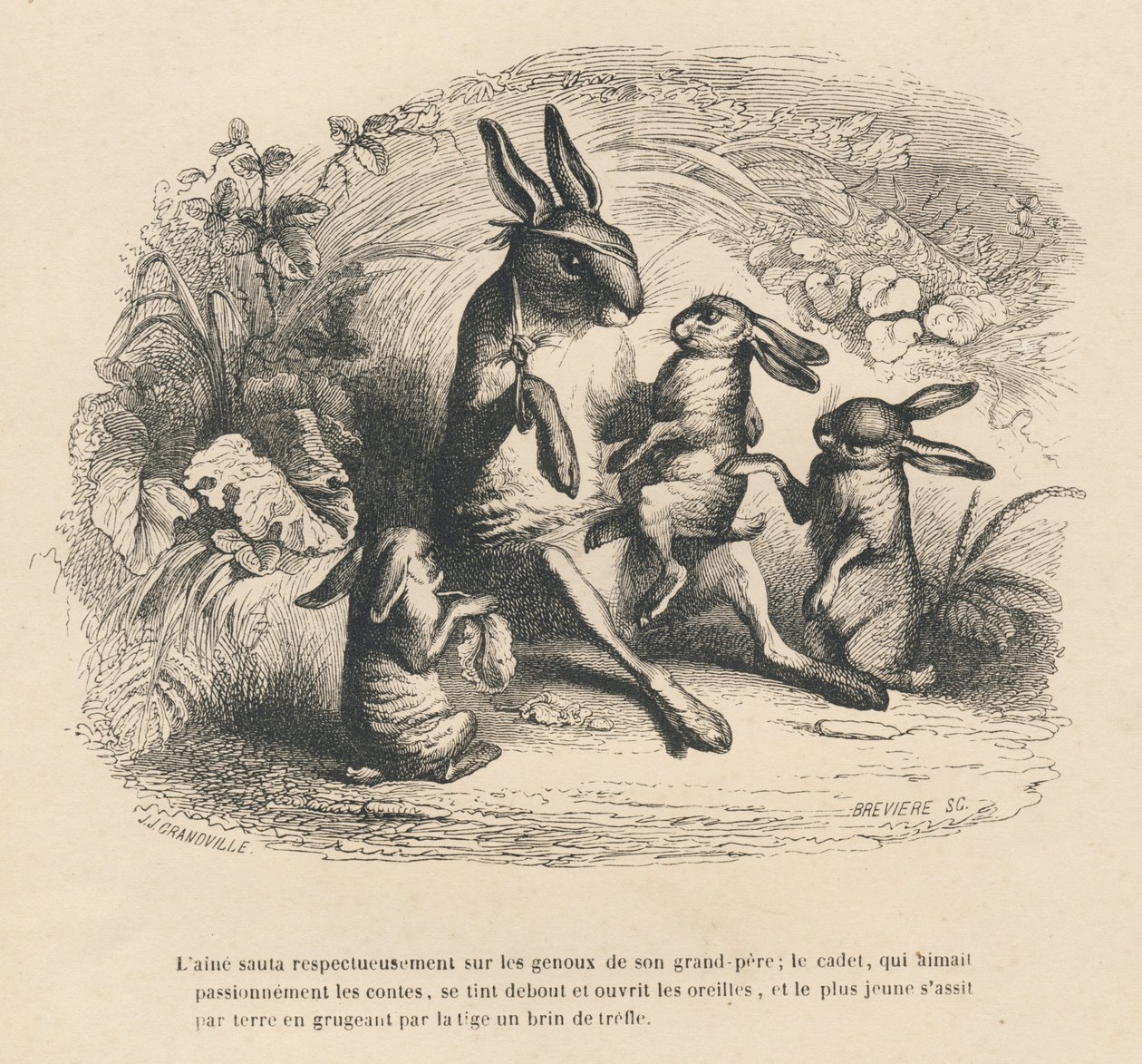 Drei Hasenkinder hören ihrem verletzten Großvater zu, der Geschichten erzählt. Vignetten illustriert von JJ Granville. Gravur signiert von Breviere im Teil "Geschichte eines Hasen" geschrieben von PJ Stahl in "Szenen aus dem privaten und öffentlichen Leben von Grandville