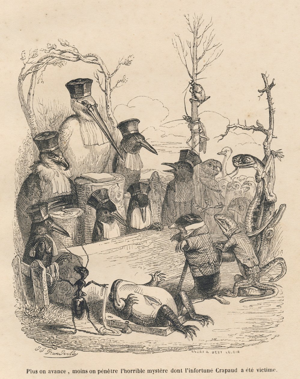 Gerichtshof bestehend aus Storch und anderen Vögeln, einem Maulwurf und einer Eidechse zur Aufdeckung des Mörders der Kröte. Gravur signiert Andrew, Best und Leloir in "Cour criminelle de justice animale" von Grandville