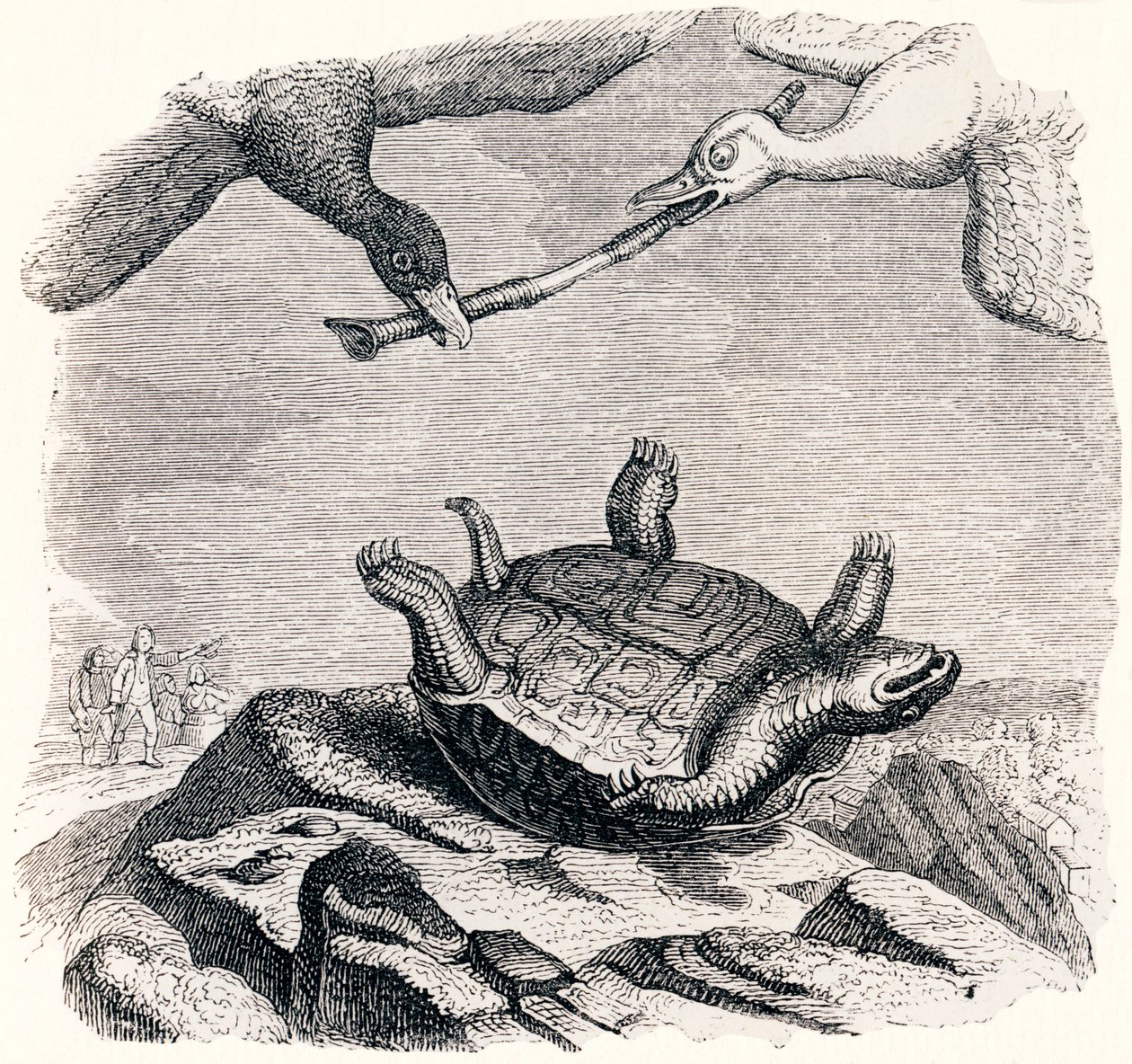 Die Schildkröte und die zwei Enten - Fabeln von La Fontaine von Grandville