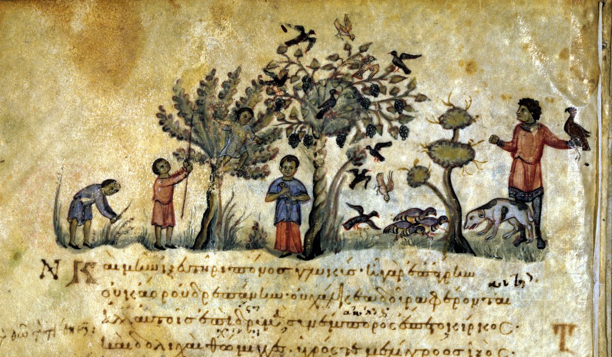 Jagd mit dem Falken und Vogelnester fangen. Griechisches Manuskript von Oppianus De Venatione. 13. Jahrhundert von Greek School