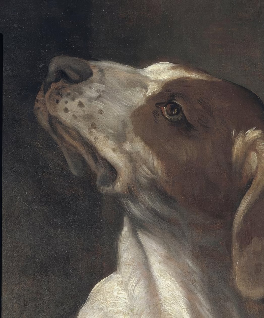 Der Heilige Rochus im Gefängnis, von einem Engel getröstet von Guido Reni
