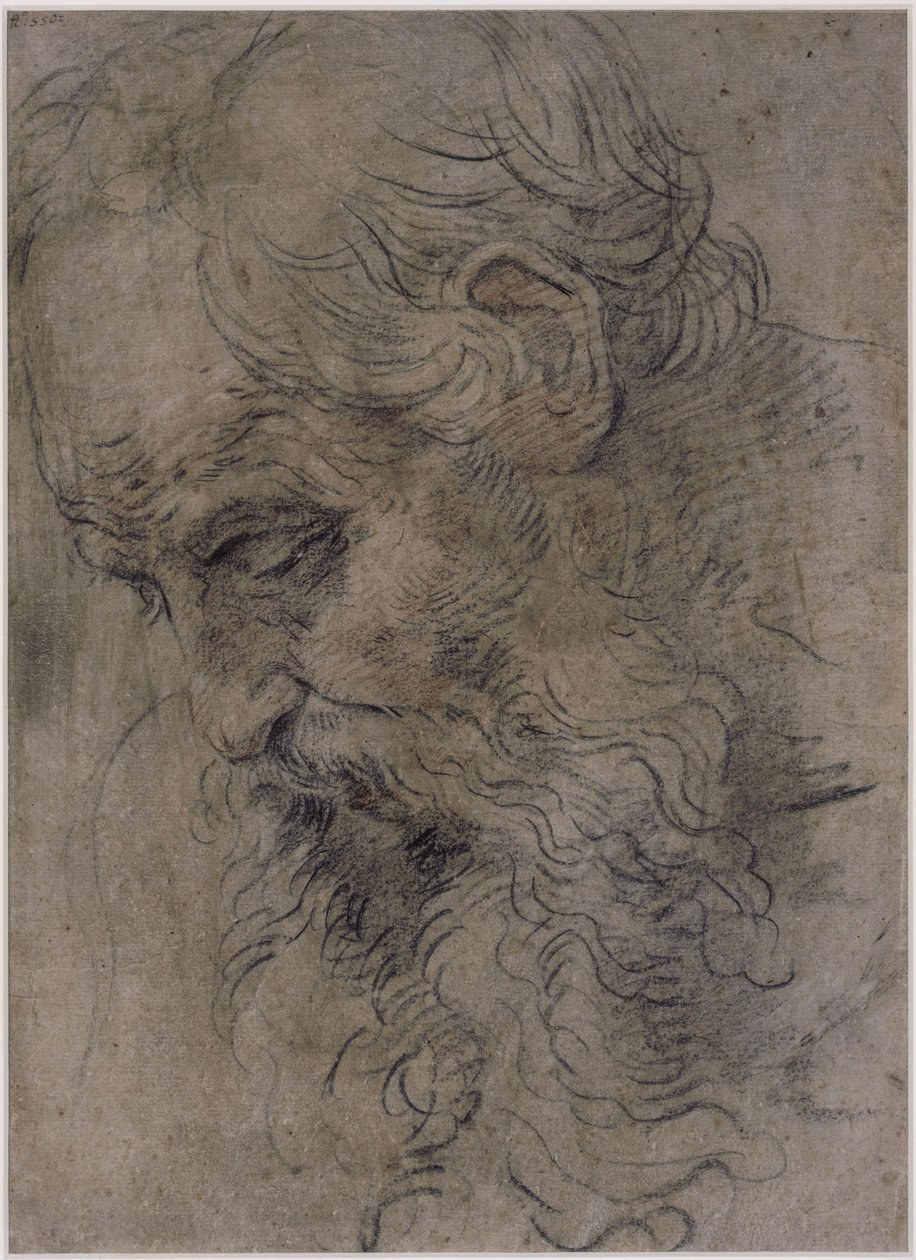 Kopf des heiligen Paulus Eremita von Guido Reni