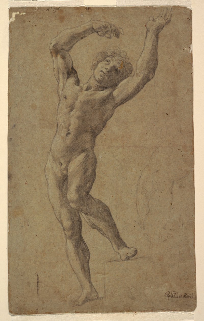 Studie für St. Sebastian, Museo Pomarici Santomasi, Apulien, Italien von Guido Reni