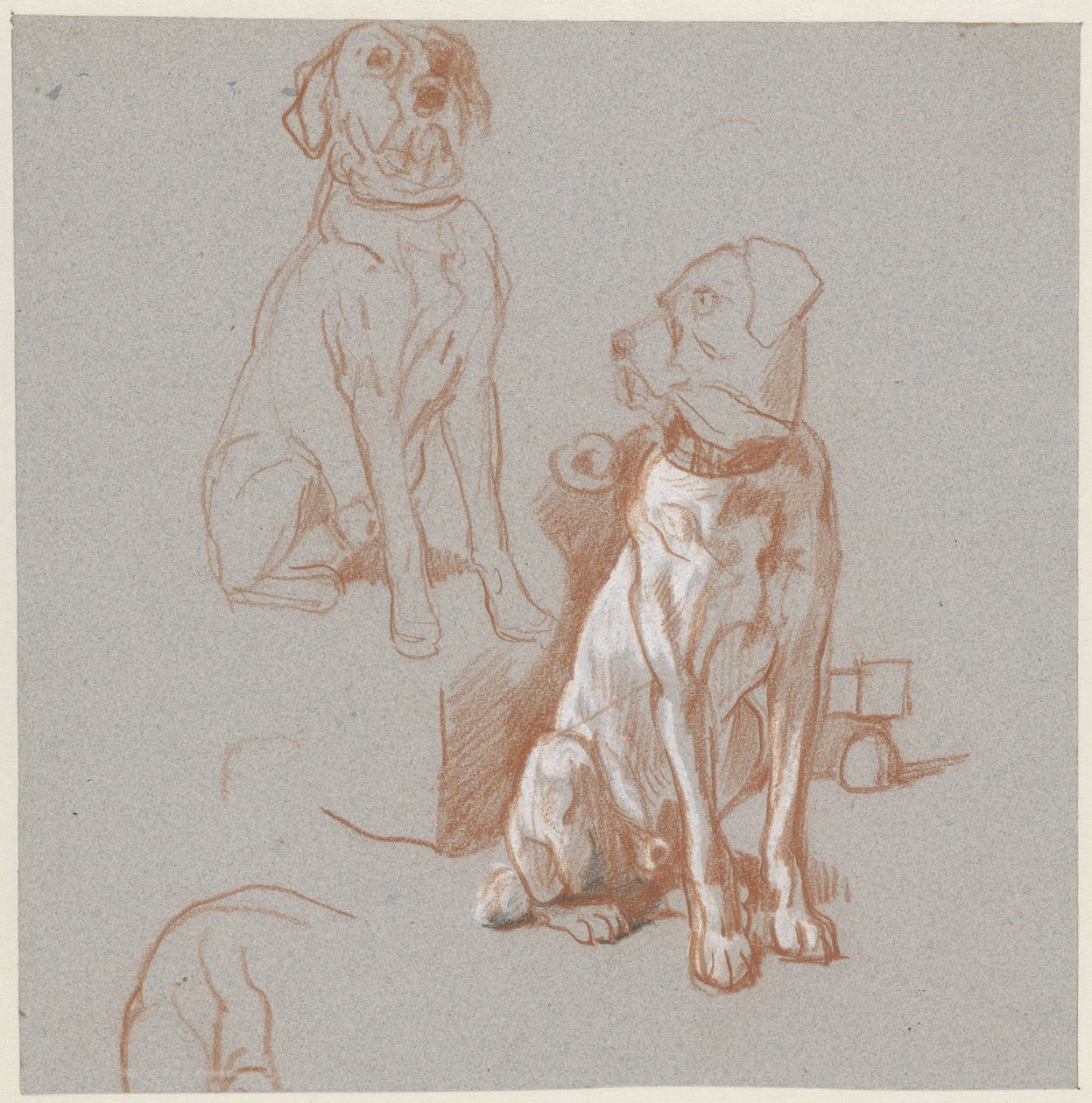 Zwei Studien eines sitzenden Hundes von Guillaume Anne van der Brugghen