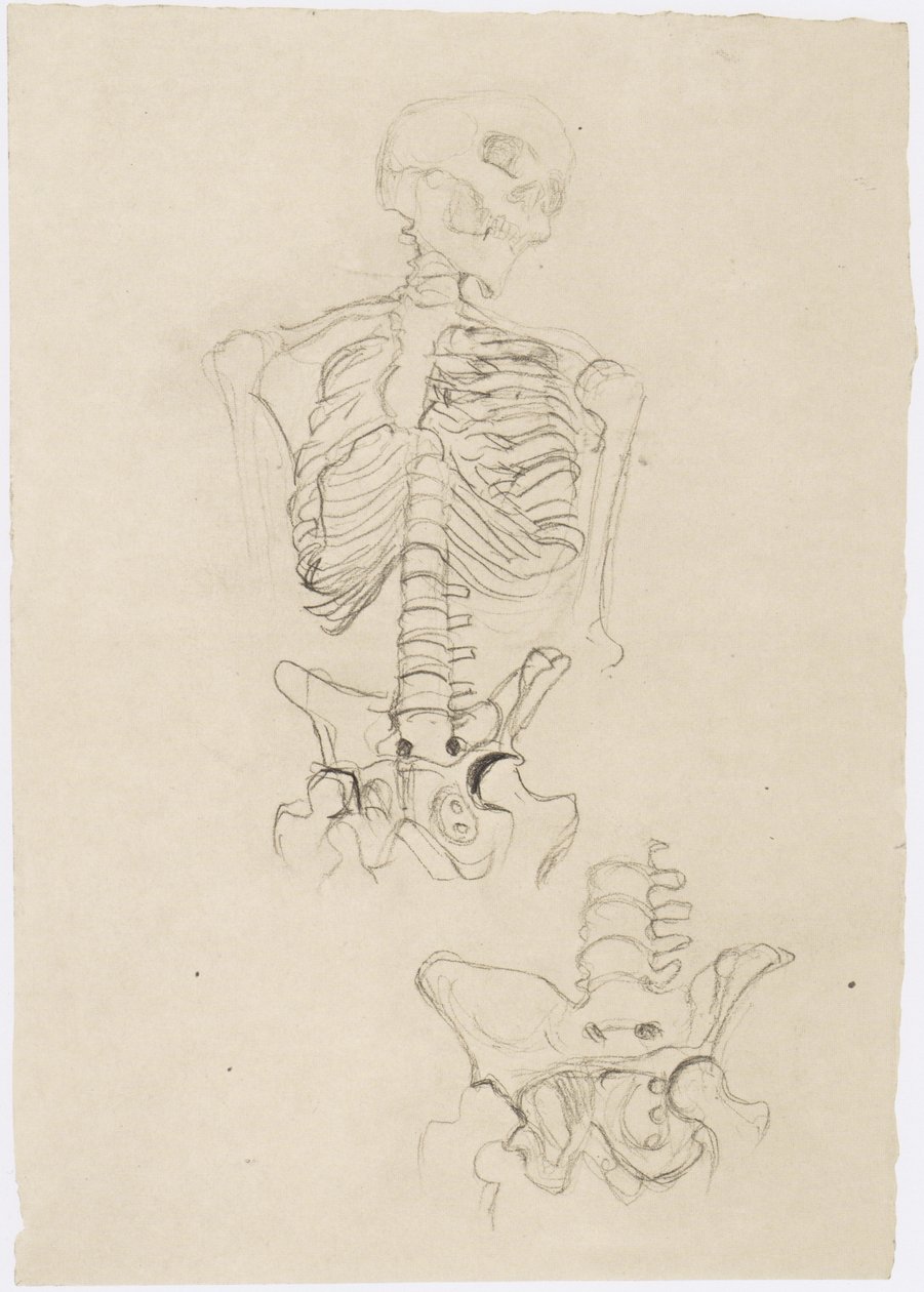 Zwei Skelettstudien, die obere mit Kopf nach rechts von Gustav Klimt