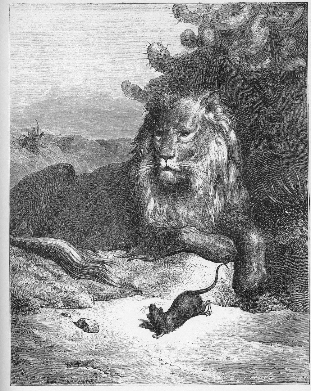 Der Löwe und die Maus - aus 