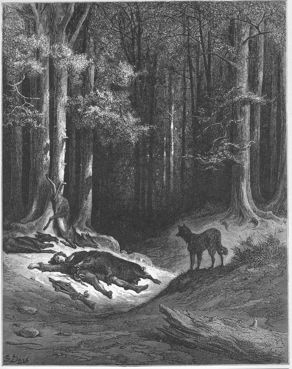 Der Wolf und der Jäger - aus 