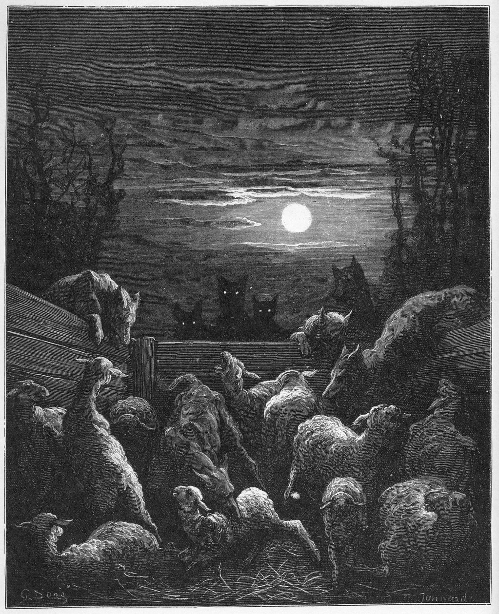 Les Loups et les Ebis - aus 