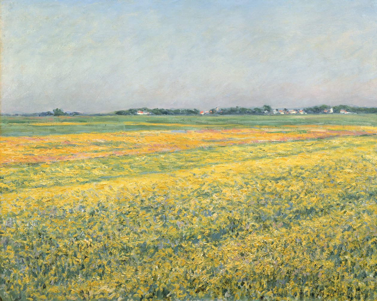 Die Ebene von Gennevilliers, Gelbe Felder; La plaine de Gennevilliers, champs jaunes, 1884 von Gustave Caillebotte