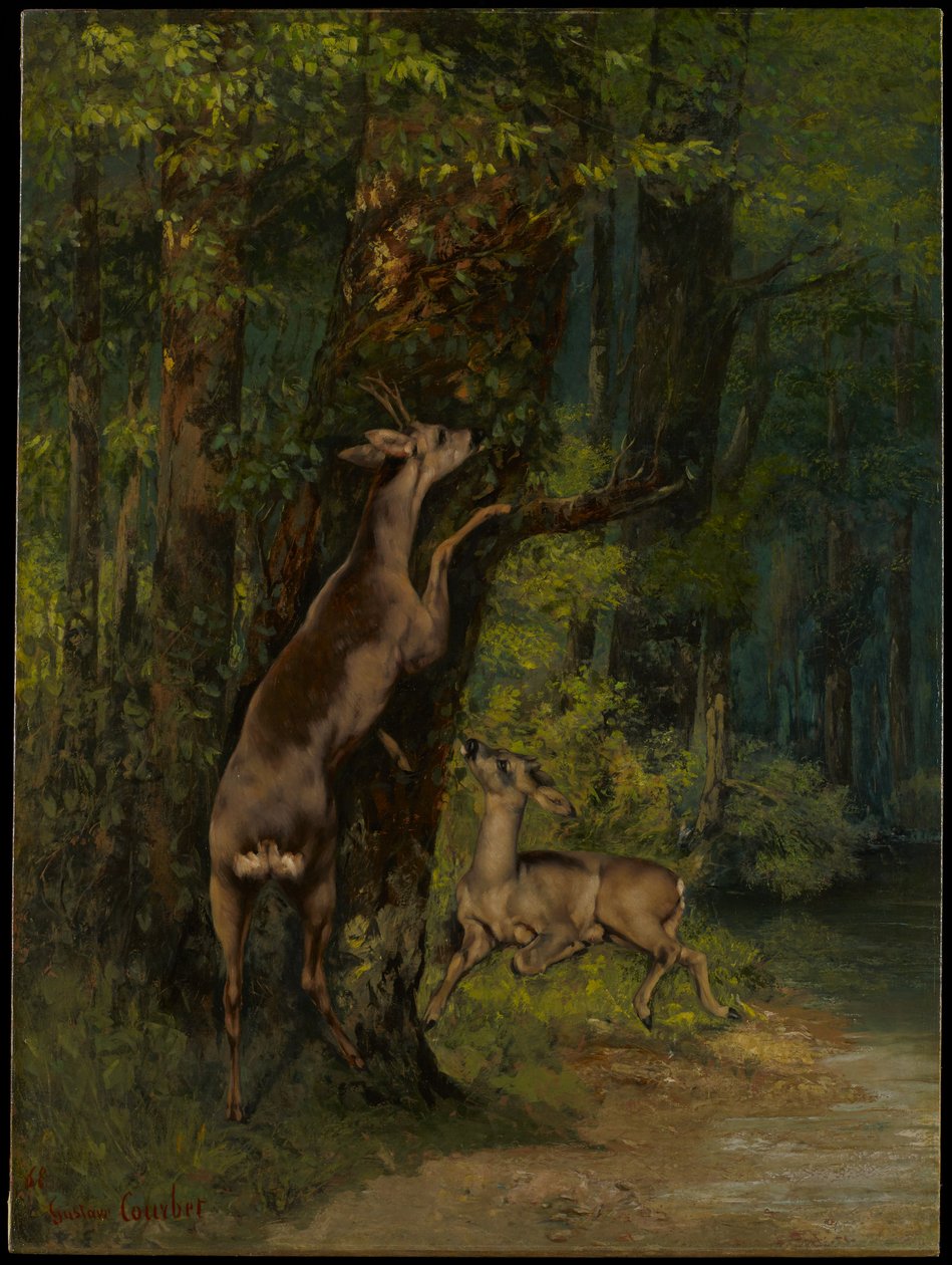 Hirsche im Wald von Gustave Courbet