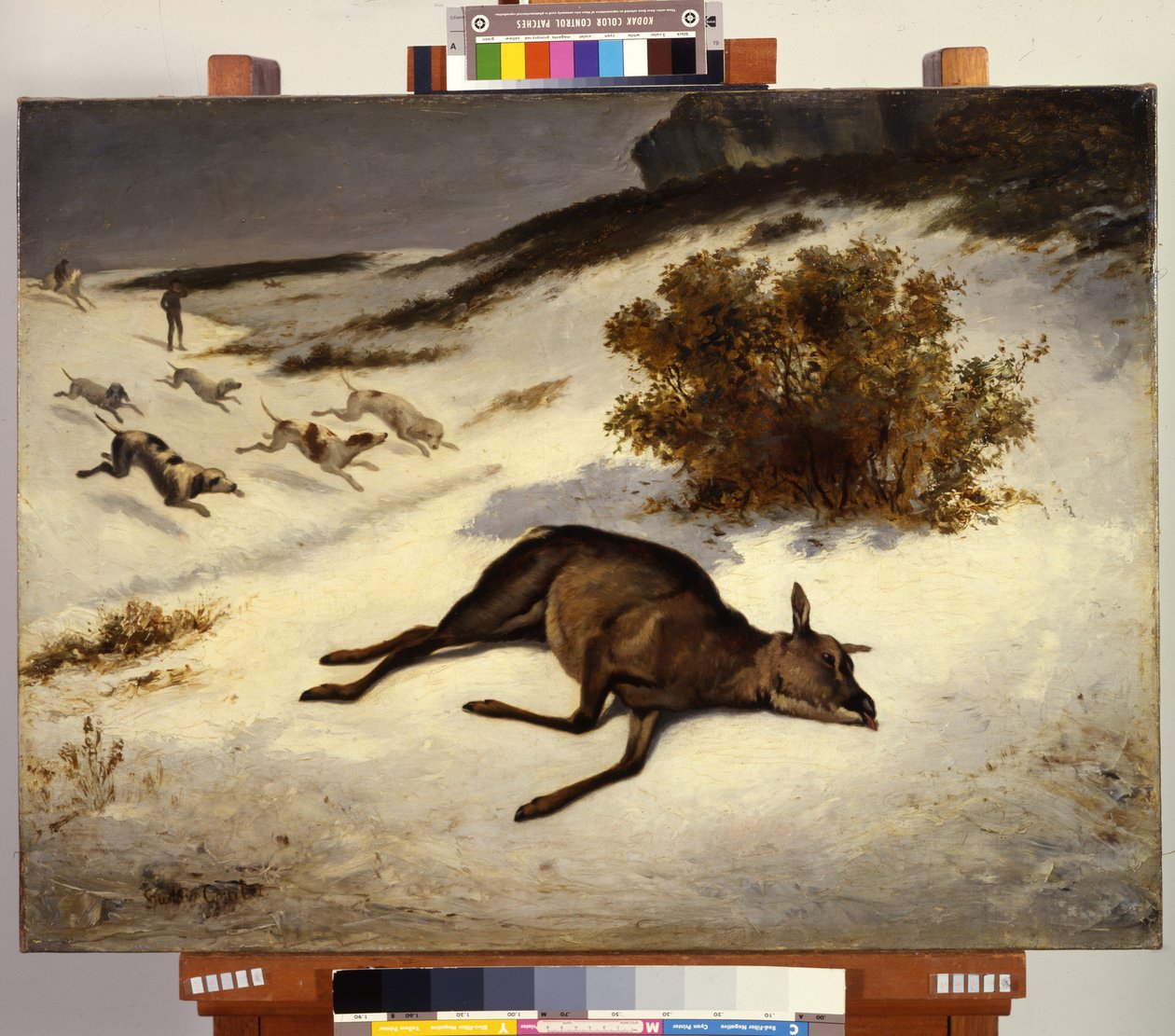 Hirsch im Schnee niedergedrückt von Gustave Courbet