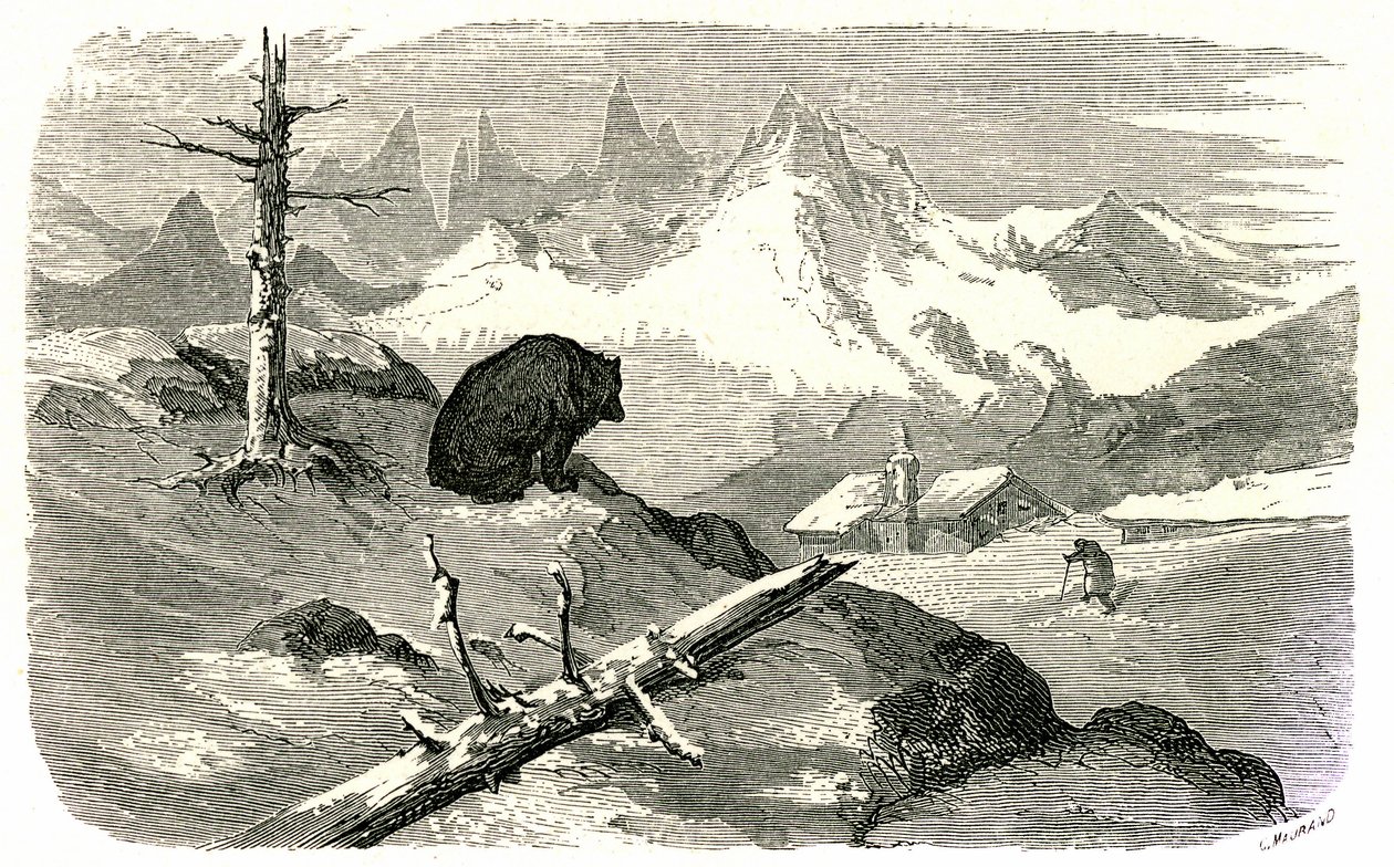 Gravur von Gustave Doré, die das Buch „Reise in die Pyrenäen“ von Hippolyte Taine, Hachette 1860, illustriert. Ein Bär beobachtet einen Mann, der auf sein Haus in den Bergen zugeht. von Gustave Dore