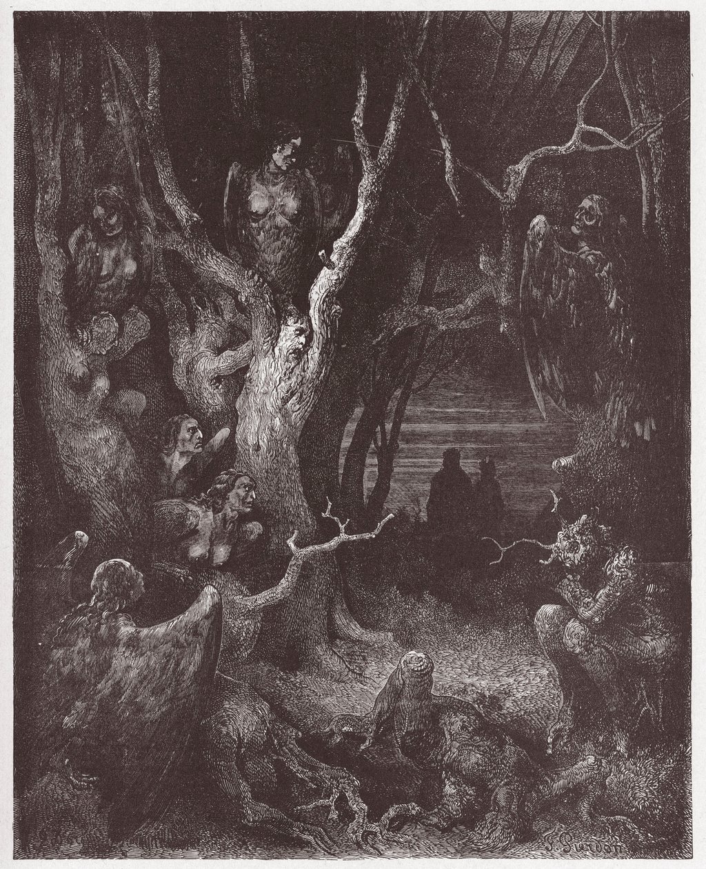 Die Göttliche Komödie, Inferno, Gesang 13: Die Harpyien im Wald der Selbstmörder - von Dante Alighieri (1265-1321) - Illustration von Gustave Doré (1832-1883) von Gustave Dore