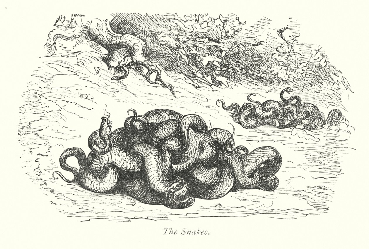 Die Schlangen (Gravur) von Gustave Dore