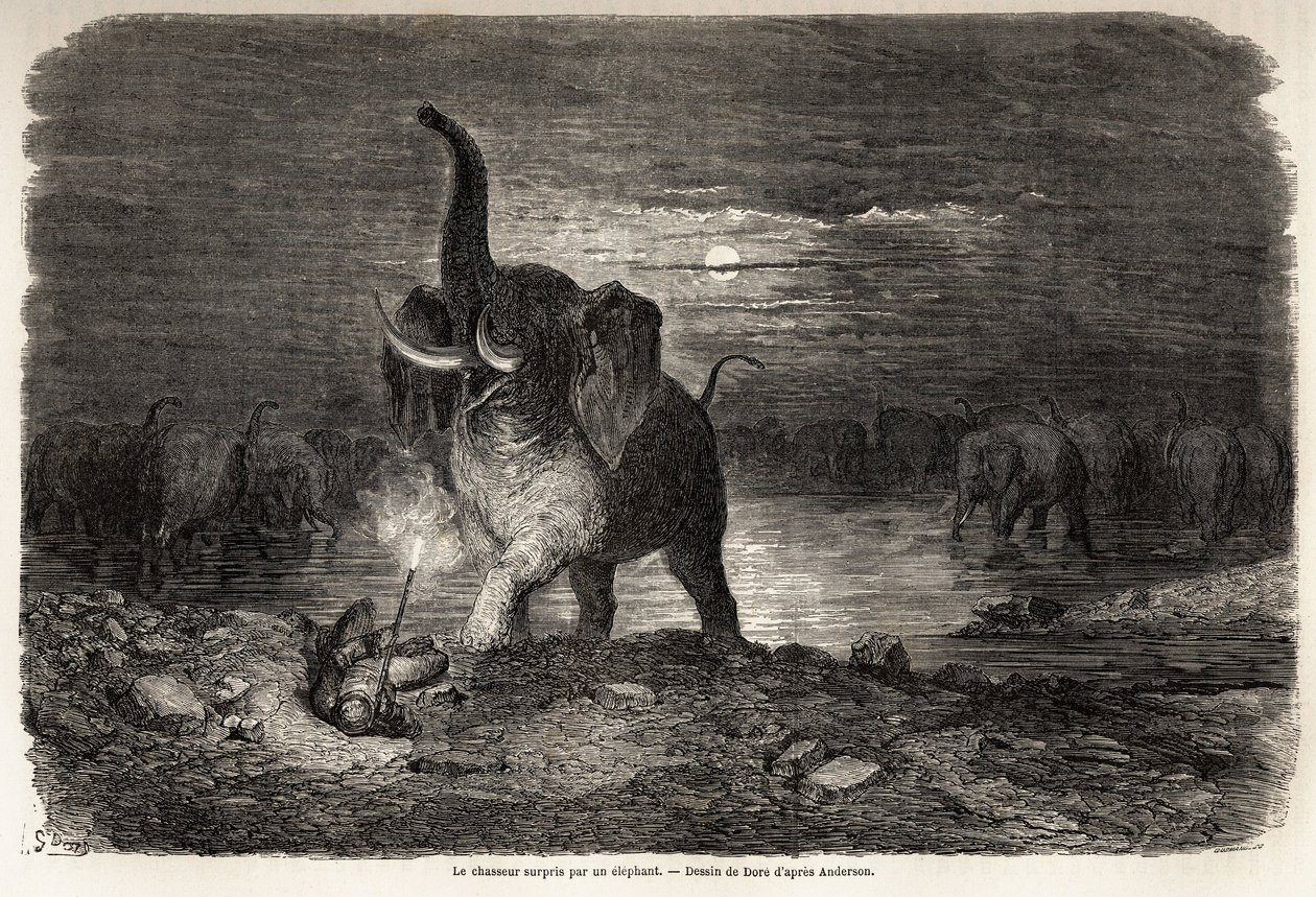 Der Jäger, überrascht von einem Elefanten, nahe dem Ngami-See (Botswana), Zeichnung von Gustave Doré (1832-1883), zur Illustration der Abenteuer und Jagden von Charles Jean Anderson im südlichen Afrika. Gravur in „Le tour du monde, nouveau journal des voya von Gustave Dore