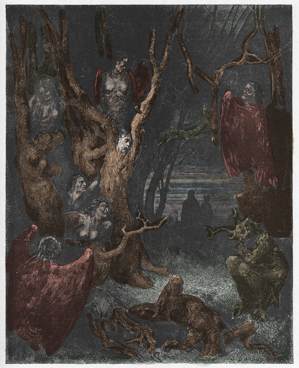 Inferno, Gesang 13: Die Harpyien im Wald der Selbstmörder (Illustration aus Die Göttliche Komödie von Dante Alighieri, 1885) von Gustave after Dore
