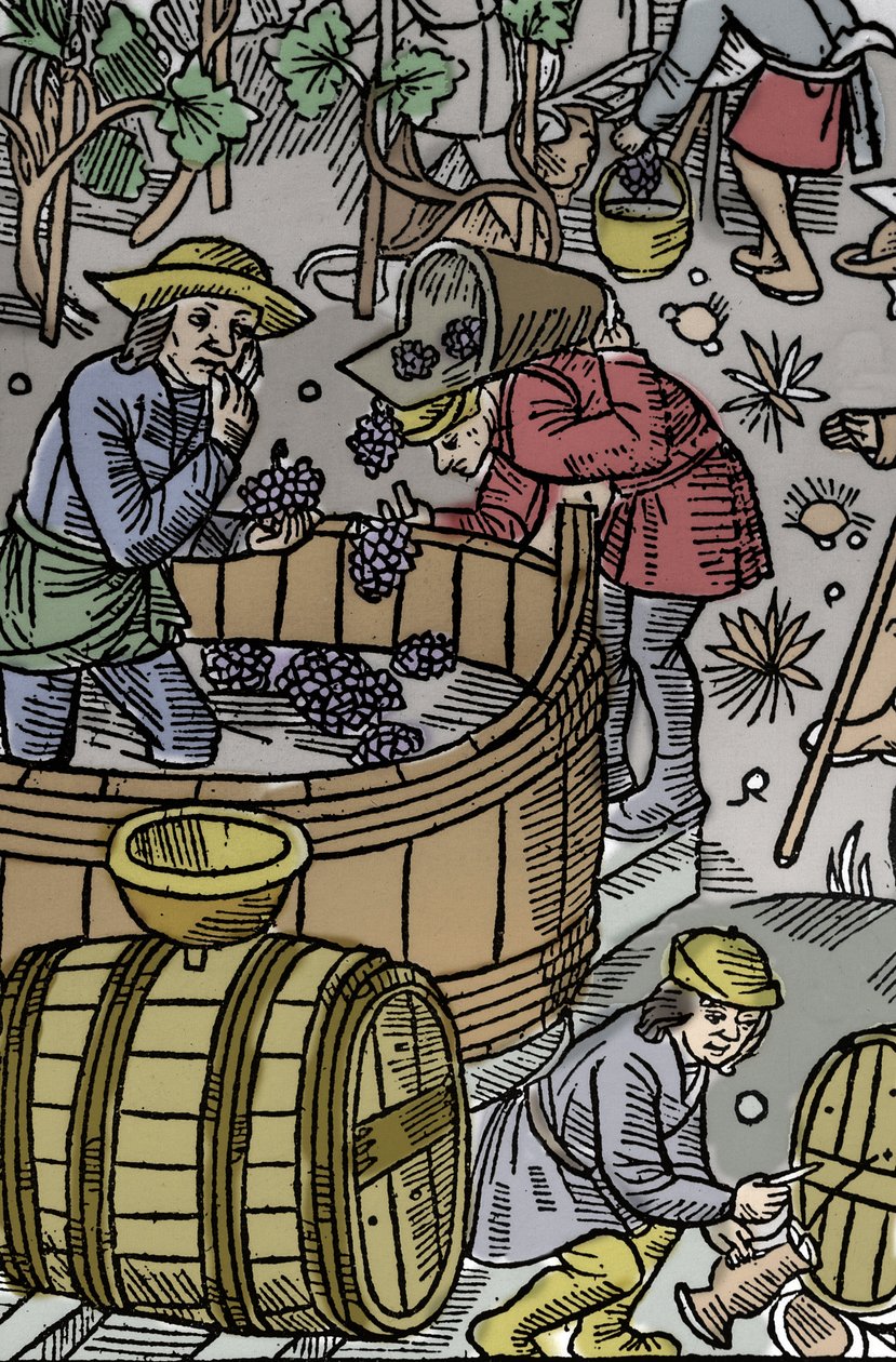 Ernte - Weinlese - Schäferkalender - Die Arbeiten der Monate - Oktober - Holzschnitt aus dem Buch von 1496, gedruckt von Guy Marchant (Guido Mercator) in Troyes - Holzgravur in "Le grand Calendrier et compost des shepherds" - Die Ernte - und die von Guy Marchant