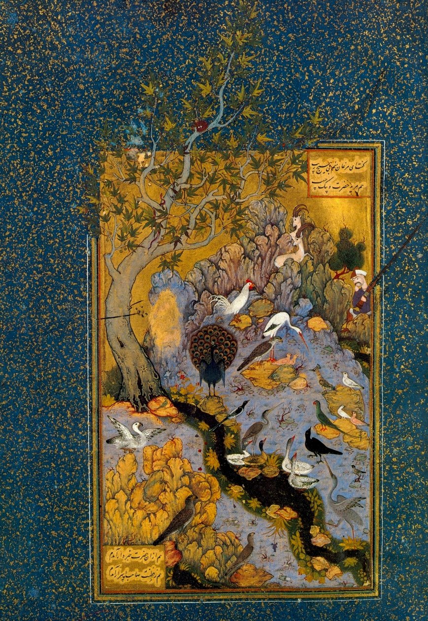 Folio aus Mantiq al-Tayr Die Sprache der Vögel, von Attar, ca. 1600 von Habib Allah