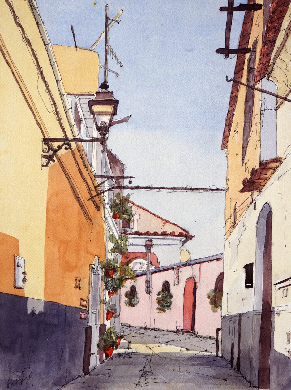 Seitenstraße, Positano, Italien von Hadley Rampton